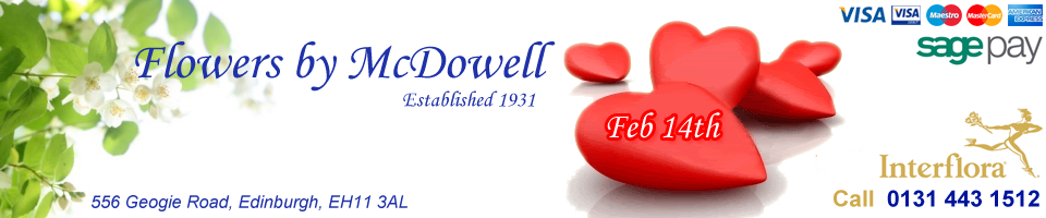 Valentines Day Flowers by McDowell - Florists Edinburgh